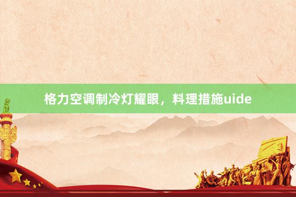 格力空调制冷灯耀眼，料理措施uide