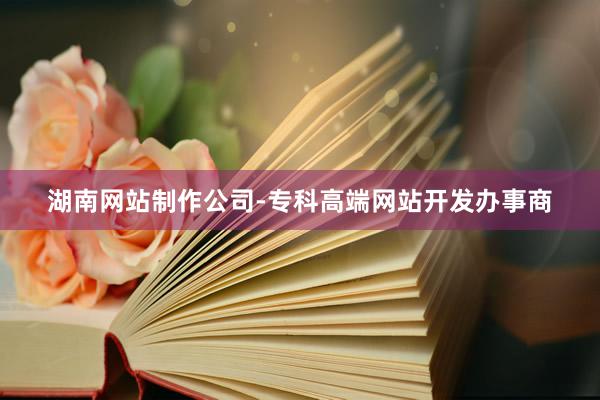 湖南网站制作公司-专科高端网站开发办事商