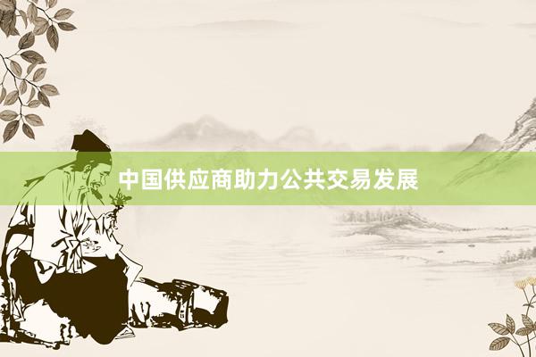 中国供应商助力公共交易发展